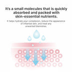 MAY COOP Moisture Essence Toner for Anti-Aging Korean Skincare 150mL – Hydrating Skin with Wildcrafted Centella Asiatica, Rice Water & Birch Bark – Nourishing – Fast-Absorbing