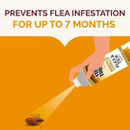 Hot Shot Ultra Flea & Tick Killer (Aerosol), Formula Kills Fleas, Flea Eggs and Flea Larvae, Ticks, Carpet Beetles and Dust Mites, 16 Ounces