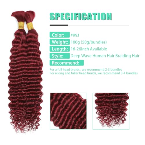 Human Braiding Hair 2 Bundles/Pack 100g Burgundy 99J Curly Deep Wave Human Bulk Hair for Braiding No Weft 10A Brazilian Virgin Human braiding Hair for Boho Braids Extensions (#99J, 16 inch)