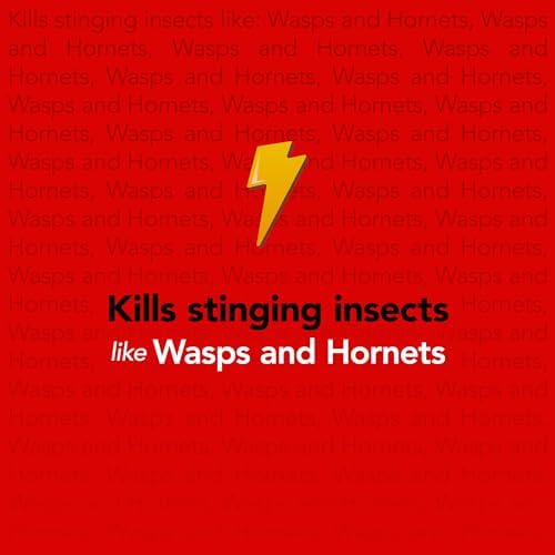 Raid Max Foaming Wasp & Hornet Killer, Fast Coverage Foam, Bug Killer Kills The Entire Nest, 16.5 oz