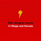 Raid Max Foaming Wasp & Hornet Killer, Fast Coverage Foam, Bug Killer Kills The Entire Nest, 16.5 oz