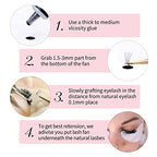 Premade Fans Eyelash Extensions 1000pcs Promades Eyelash Volume Lash Extensions Pointed Base Loose Fans Premade Lash Extensions Fans Handmade Pre Made Volume Lashes Mix (8D-0.07C, 9-16mm)