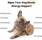 Kayode Itch & Allergy - Natural Dog Allergy Chews. Allergy Relief for Dogs. Premium Colostrum for Dogs, Bee Pollen for Dog Allergies. Alternative to Allergy Medicine for Dogs