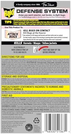 Raid Wasp and Hornet Killer (17.5 Ounce (Pack of 1))