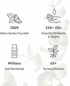 Edens Garden Pumpkin Seed Carrier Oil- 100% Pure Premium Cold Pressed & Hexane Free, Natural Moisturizer for Face, Skin, Hair, Scalp & Nail Care, Diluting Essential Oils & Massage 118 ml (4 fl oz)