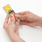 Victor Mouse Traps M035-12, Plastic Pedal, Sustainably Sourced FSC Wood, Wooden Mouse Traps, 12 Pack