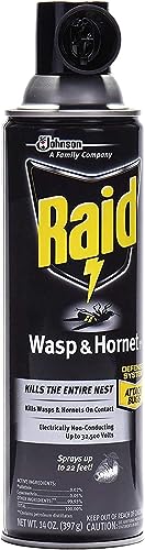 Raid Wasp Hornet Killer Spray (14 Ounce (Pack of 8))