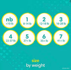 Pampers Swaddlers Diapers, Size 2 (12-18 Pounds), 180 Count