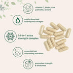 Micro Ingredients Pumpkin Seed Oil with Saw Palmetto & Hair Vitamins Complex Capsules Bundle 2 Pack | Cold Pressed, Pure Virgin Oil, Herbal Supplement | 14-in-1 Advanced Hair Growth Support