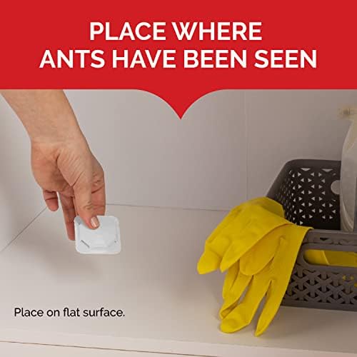 Hot Shot MaxAttrax Ant Bait, 8 Count, Child-Resistant Bait Stations
