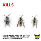 Raid Wasp Hornet Killer Spray (14 Ounce (Pack of 8))