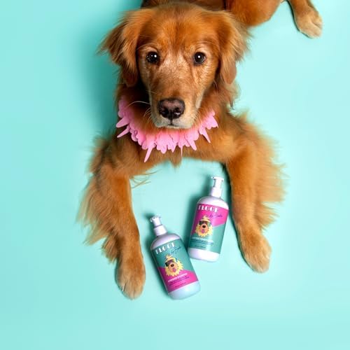 Everydog Nourishing and Deodorizing Dog & Cat Shampoo for All Coat Types, Detangles, Soothes with Aloe, Oat Milk, Plant Based Emolients, Pet Grooming Supplies (16oz)