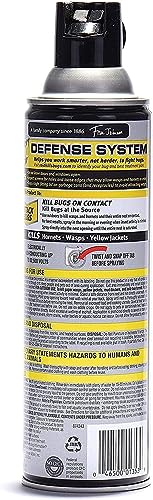 Raid Wasp Hornet Killer Spray (14 Ounce (Pack of 8))