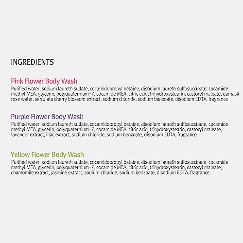 Flower Perfume Body Wash 31.7 fl oz, 900 ml (Pink - Rose & Cherry Blossom)