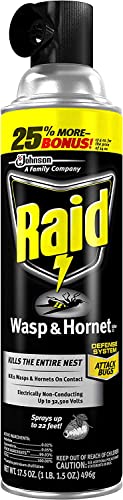 Raid Wasp and Hornet Killer Multi-Packs 17.5 Ounce (Pack of 6)