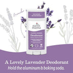 Earth Mama Calming Lavender Deodorant | Safe for Sensitive Skin, Pregnancy and Breastfeeding, Contains Organic Lavender, Calendula and Coconut Oil, No Baking Soda or Aluminum, 2.65-Ounce (2-Pack)