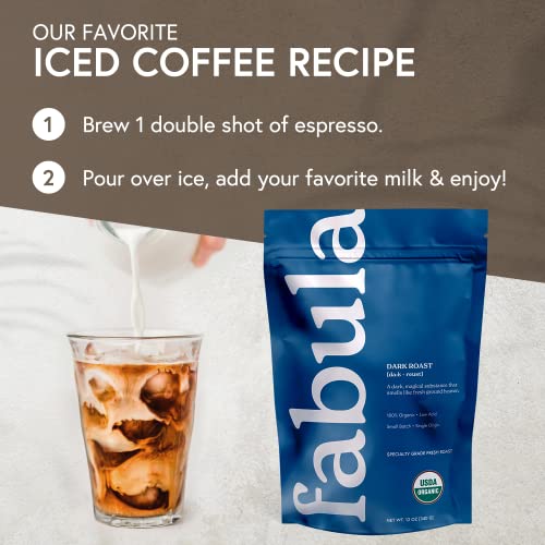 Fabula Coffee Dark Roast Whole Beans - Organic - Low Acid - Single Origin -Non GMO - Mold Free - 12 Ounces