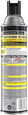 Raid Wasp and Hornet Killer (17.5 Ounce (Pack of 1))