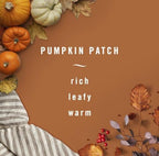 Febreze Air Freshener Odor Fighting Spray, Pumpkin Patch) Limited Edition, 8.8 oz. (Pack of 2) + Febreze Small Spaces Air Freshener Limited Edition Scents (Pumpkin Patch), 2 Count)