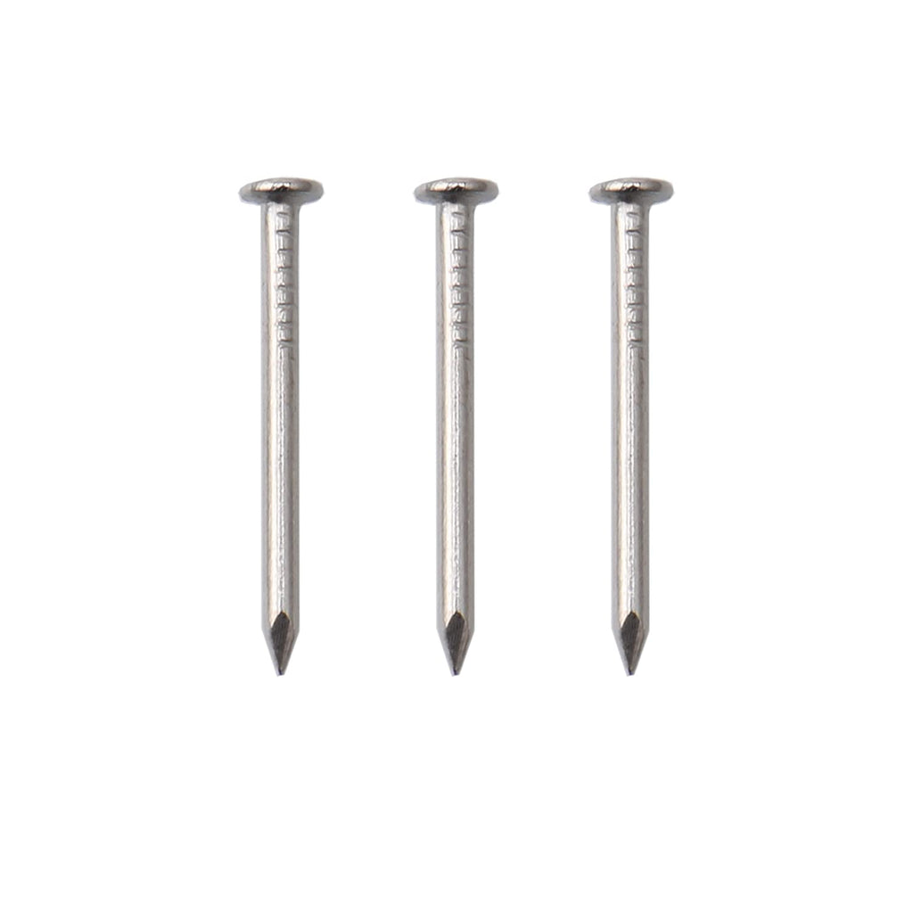JEGONFRI 900PCS 3/4" Nickel Flat Head Nails for Hanging Pictures & Woodwork
