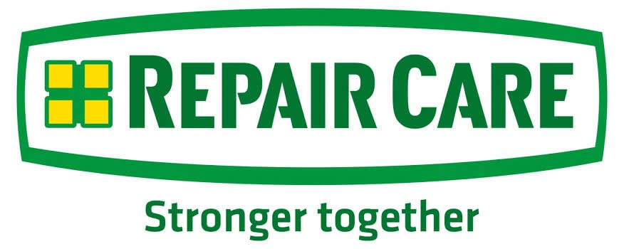 Repair Care Dry Flex® 4 2-in-1 - Elastic Wood Repair Compound, Ideal for Permanent Repair of Decayed and Damaged Wood, Paintable After 4 Hours