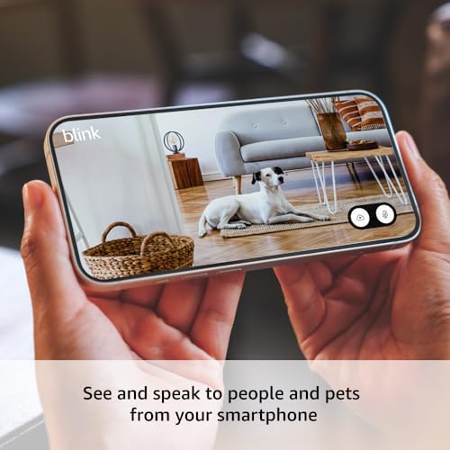 Blink Mini 2 (newest model) — Home Security & Pet Cameras with HD video, color night view, motion detection, two-way audio, and built-in spotlight — 2 cameras (White)