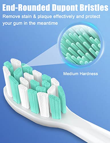 Toothbrush Replacement Heads for Philips Sonicare ProtectiveClean DailyClean Electric Toothbrush Head 1 2 Series Plaque Control Gum 4100 5100 C1 C2 G2 Snap-on, 10 Pack