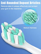 Toothbrush Replacement Heads for Philips Sonicare ProtectiveClean DailyClean Electric Toothbrush Head 1 2 Series Plaque Control Gum 4100 5100 C1 C2 G2 Snap-on, 10 Pack