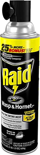 Raid Wasp and Hornet Killer Multi-Packs 17.5 Ounce (Pack of 6)