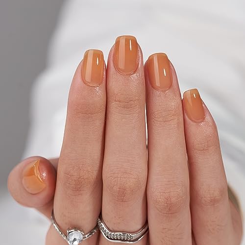 BTArtbox Press On Nails Short - Soft Gel Square Fake Nail with Nail Glue, Semi-Transparent Stick On Nails in 15 Sizes, Pumpkin Pie