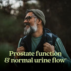 New Chapter Prostate Supplement Zyflamend Prostate with Saw Palmetto + Pumpkin Seed Oil + Turmeric for Prostate Health Vegetarian Capsule, 60 Count