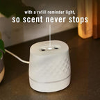 Febreze PLUG Scent Booster Starter Kit, Oil Diffuser, Air Freshener Plug In, Continuous Scent Device + 2 Downy Calm Refills
