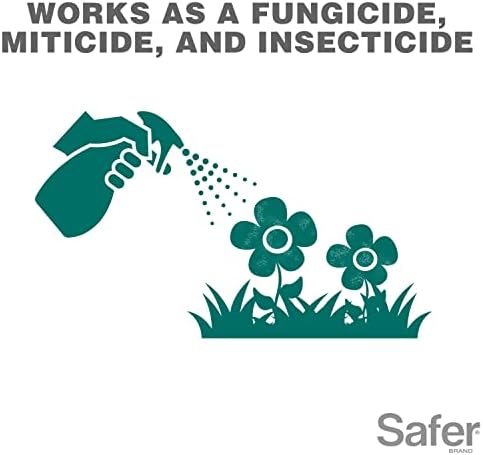 Safer Brand 5182-6 Neem Oil Concentrate Insecticide, Miticide, Fungicide for Plants - Kills Insects and Mites and Controls Fungal Disease - OMRI Listed for Organic Use