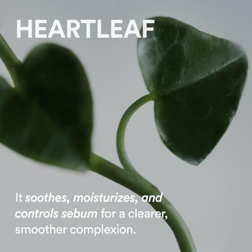 Abib Heartleaf Spot Pad Calming Touch 80pads 5.07 fl.oz. | Korean Acne Soothing Toner Pads for Face, Cleansing, Disposable, Exfoliant, Skin Care