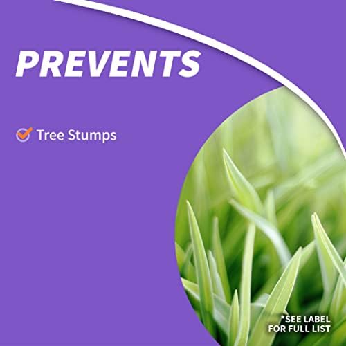 Bonide Stump-Out Granules, Do-it-Yourself At Home Stump Removal Pellets, 1 lb. Fast-Acting Formula for Outdoor Use