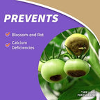Bonide Rot-Stop Tomato Blossom End Rot, 16 oz Concentrated Liquid Garden Fertilizer for Calcium Deficiency Indoors & Outdoors