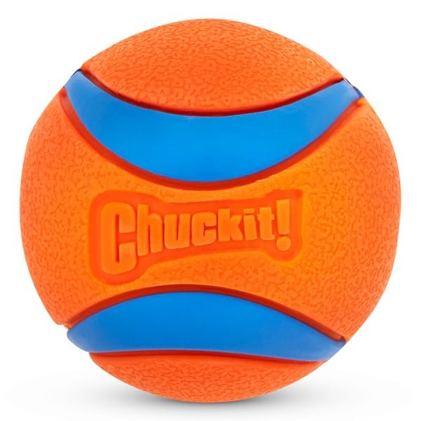Chuckit! Ultra Rubber Dog Balls with Cleaning Bucket, Medium 2.5-in, 8-Pack