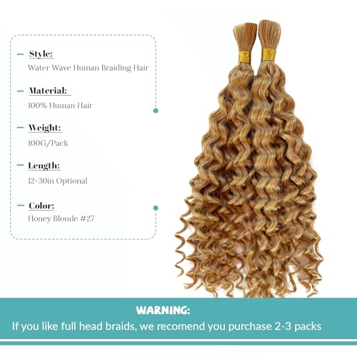 Human Braiding Hair for Boho Braids Human Hair Braiding Hair 100g 24 Inch Curly Boho Hair for Braiding Knotless Water Wave Bulk Human Hair for Braiding 2 Bundles/Pack Honey Blonde Human Hair Bulk