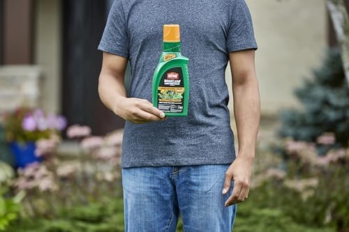 Ortho WeedClear Lawn Weed Killer Concentrate 32 oz. with Dial N Spray Hose-End Sprayer, Kills Crabgrass, Dandelion, Clover and Chickweed