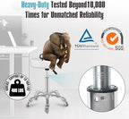 Rolling Stool with Wheels Adjustable Swivel Heavy Duty Hydraulic Stools Chair for Shop Guitar Lab Tattoo Workbench Medical (White)