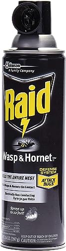 Raid Wasp Hornet Killer Spray (14 Ounce (Pack of 8))