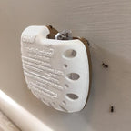 TERRO T334SR Indoor Multi-Surface Liquid Ant Bait and Ant Killer - 8 Discreet Bait Stations - Kills Common Household Ants