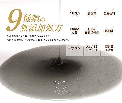 アイナボーテ トリートメント不要 PPTコラーゲン＆シルクシャンプー400ml 脂性肌用(男性) 約４ヶ月分