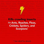 Raid Max Ant & Roach Aerosol Spray 14.50 oz (Pack of 6)