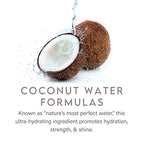 ALURAM Coconut Water Purple Shampoo for Women, Boosts Brightness, Banishes Brass, for All Hair Types