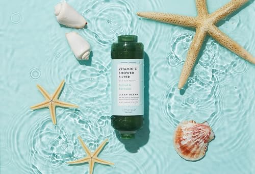 VOESH Vitamin C Shower Filter, Shower Aromatherapy, Water Purifier, Water Softener, Vegan Probiotics, Spa Shower Head, Water Filter, Shower Self-Care