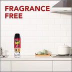 Raid Ant & Roach Spray Outdoor Fresh 17.50 oz (Pack of 3)