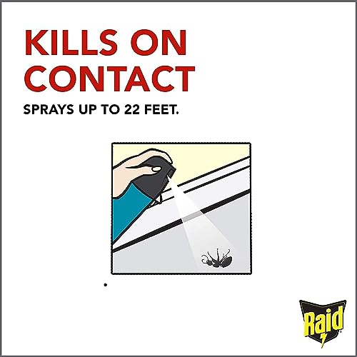 Raid Wasp Hornet Killer Spray (14 Ounce (Pack of 8))
