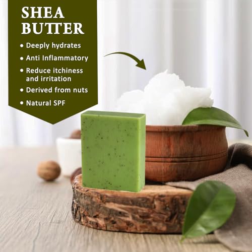 Eucalyptus Scented Natural Soap Bars (6 Bars), 3.5oz Moisturizing French Triple Milled Soap Bars Enriched with Shea Butter - Pure Plant Oil Bath & Body Soap Bars