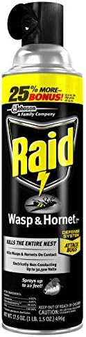 Raid Wasp and Hornet Killer, 17.5 OZ (Pack of 3)